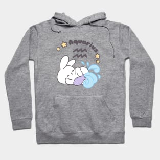 Aquarius Loppi Tokki Bunny Zodiac Series Hoodie